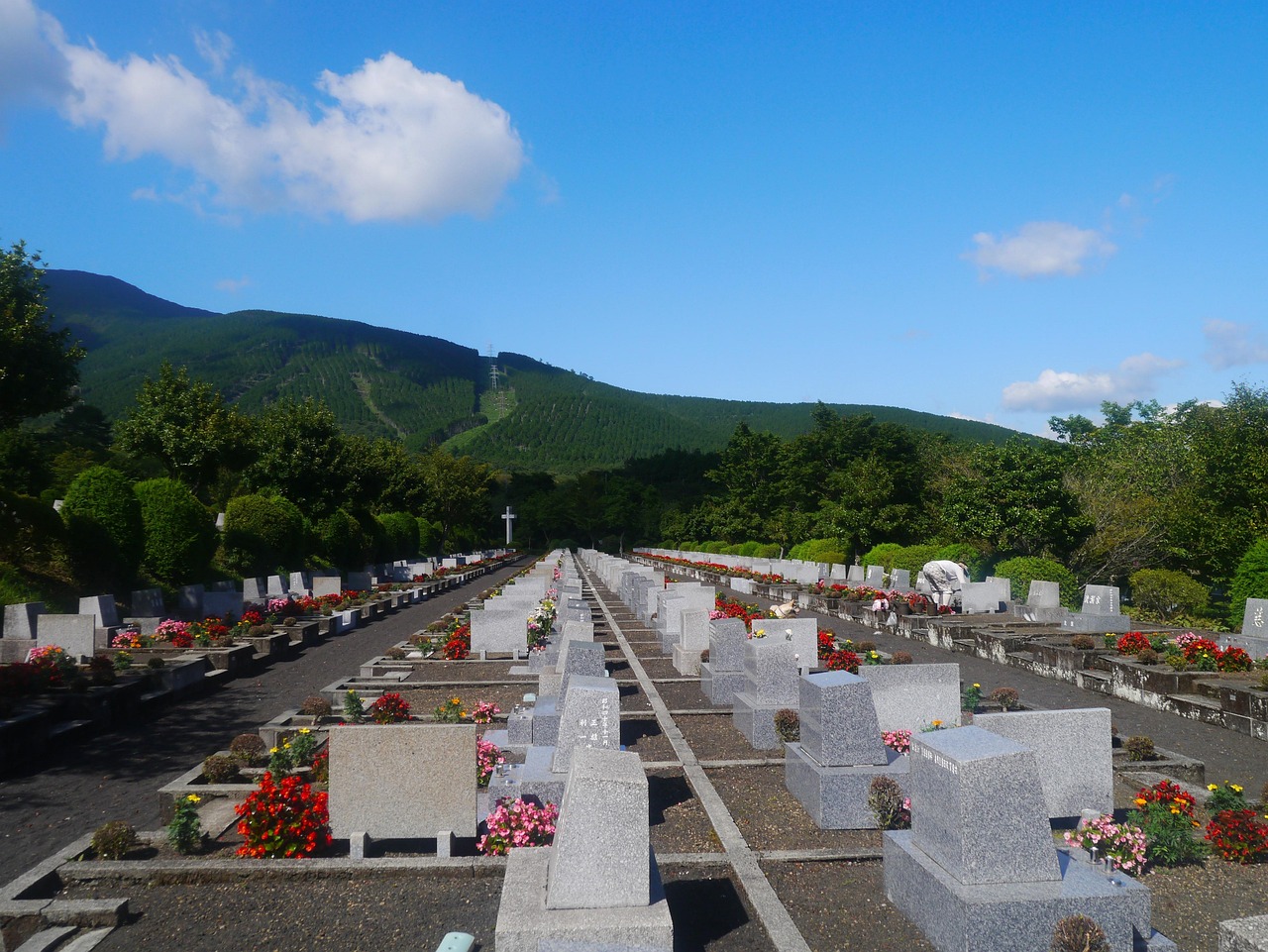 临平山北新区，生态智慧新区的崛起之路