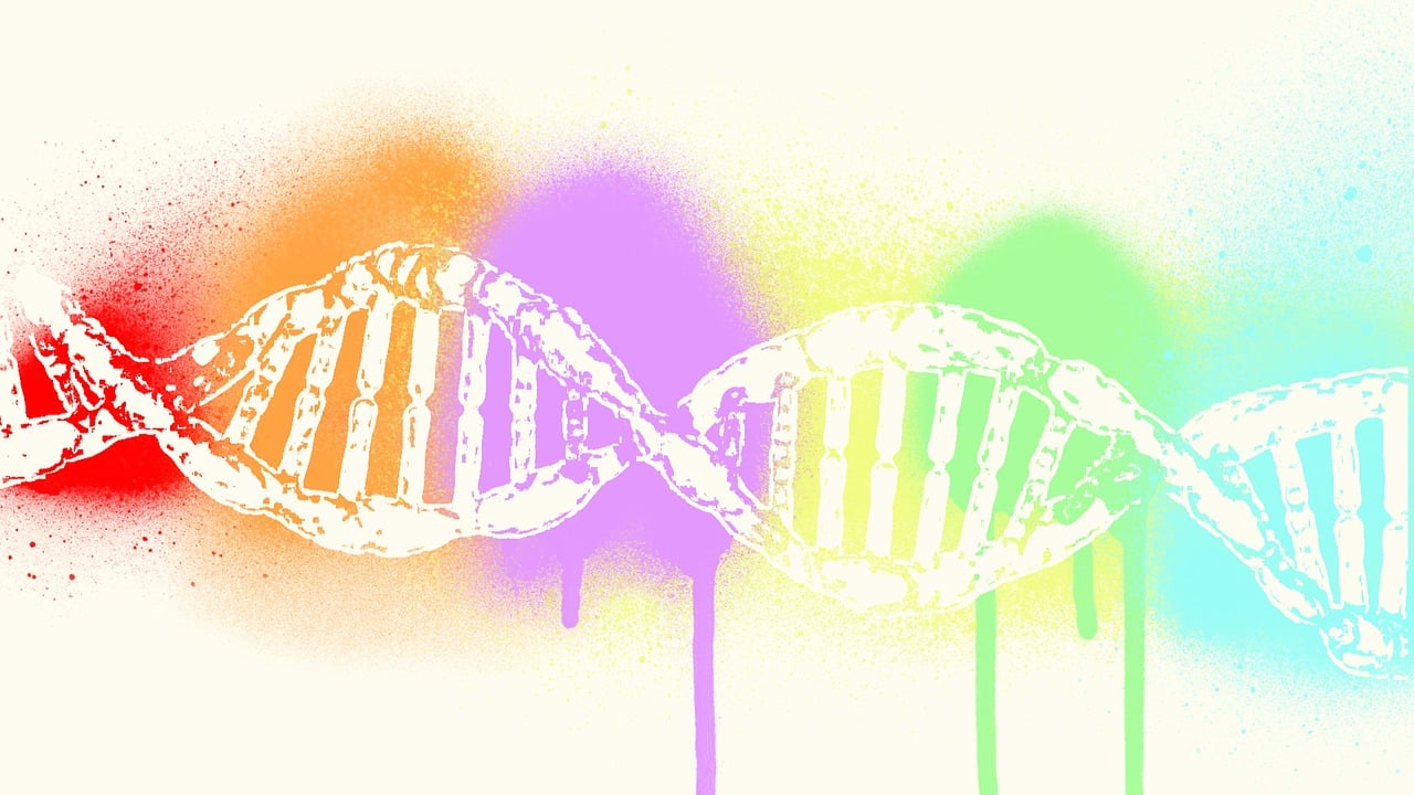 IVD上市公司，探索生物科技新领域的先锋