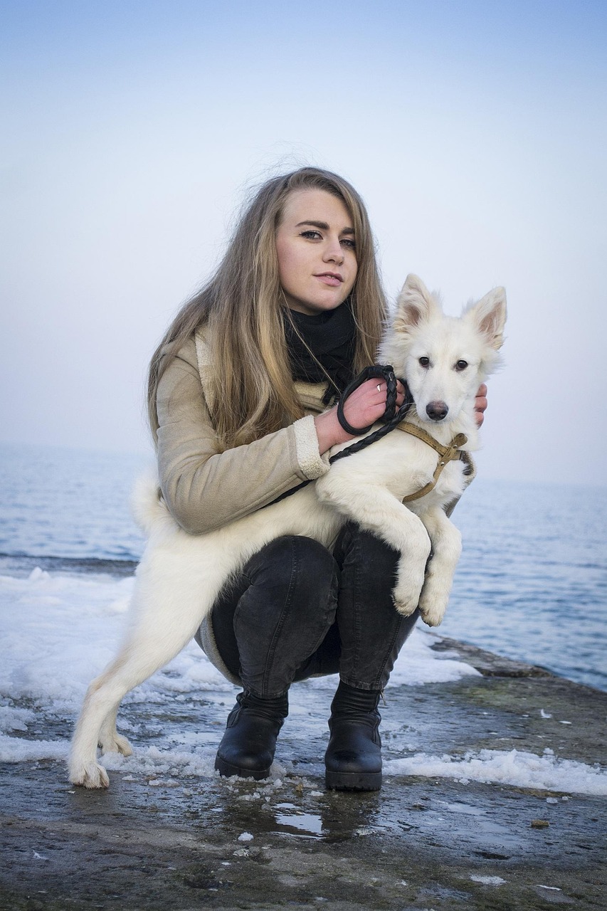狗比赛报名热潮，展示爱犬的最佳舞台