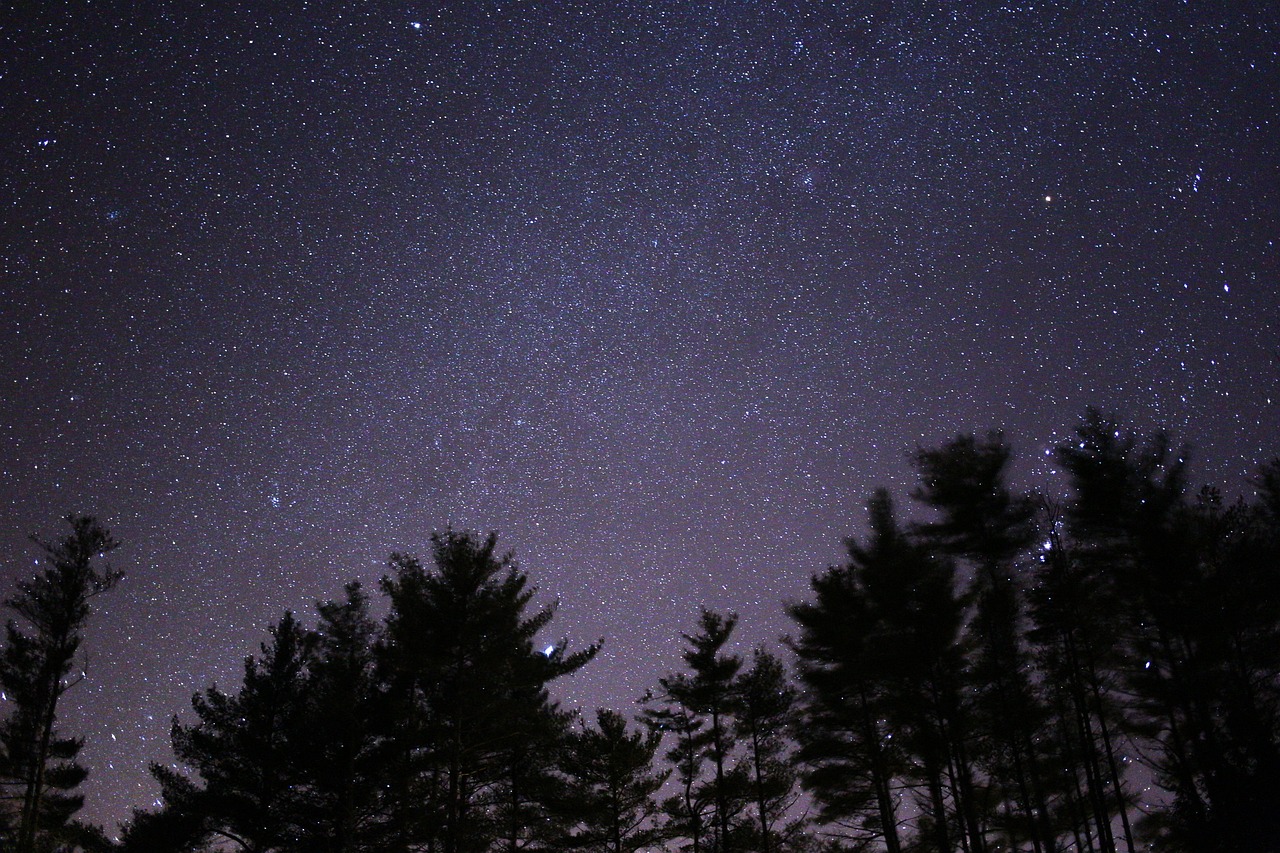明星颁奖晚会，璀璨之夜的光彩与荣耀时刻