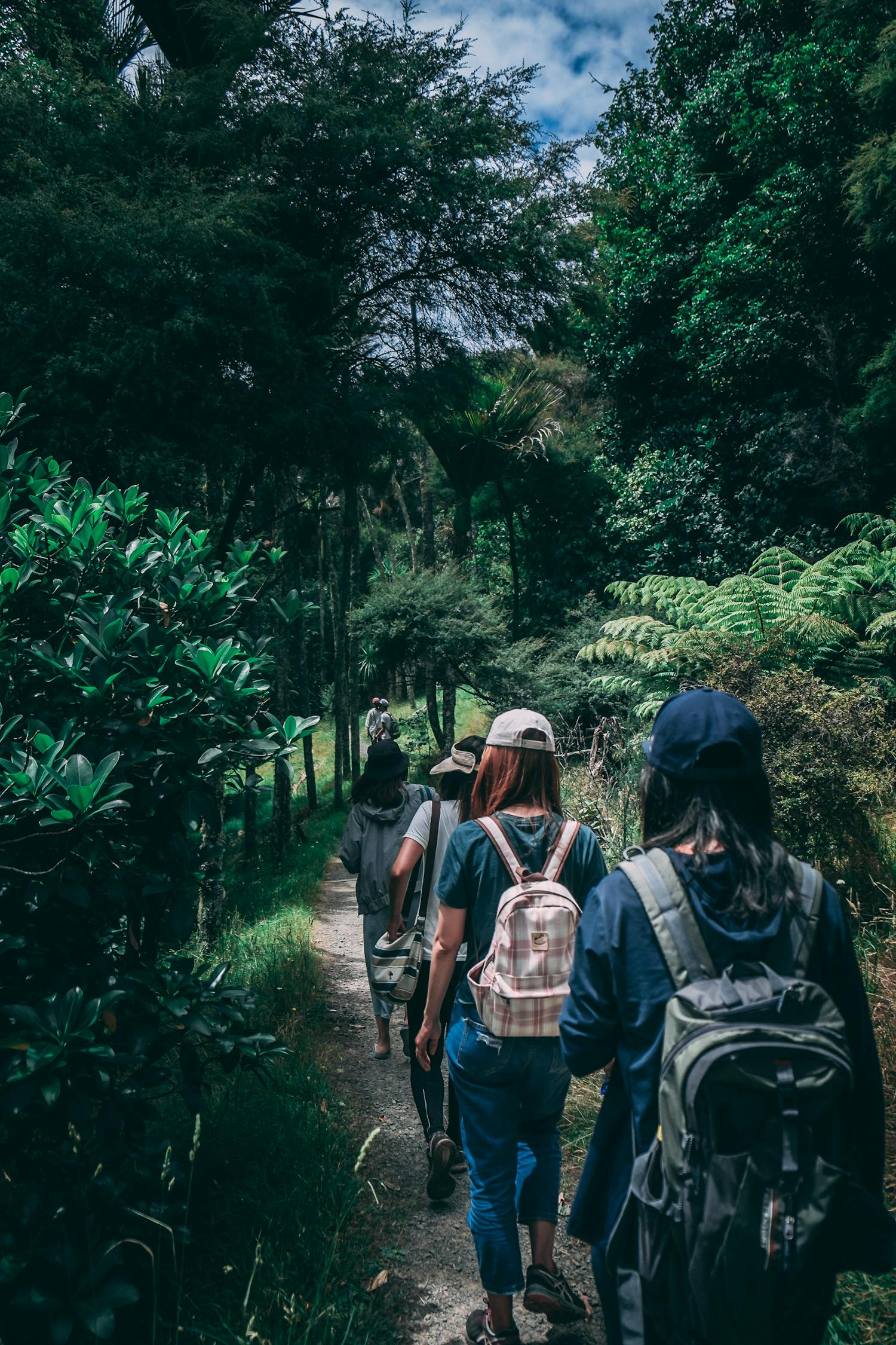 丛林冒险最新版，探索神秘世界的未知之旅