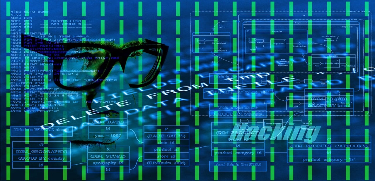 免费最新网站域名，探索、利用与一网打尽