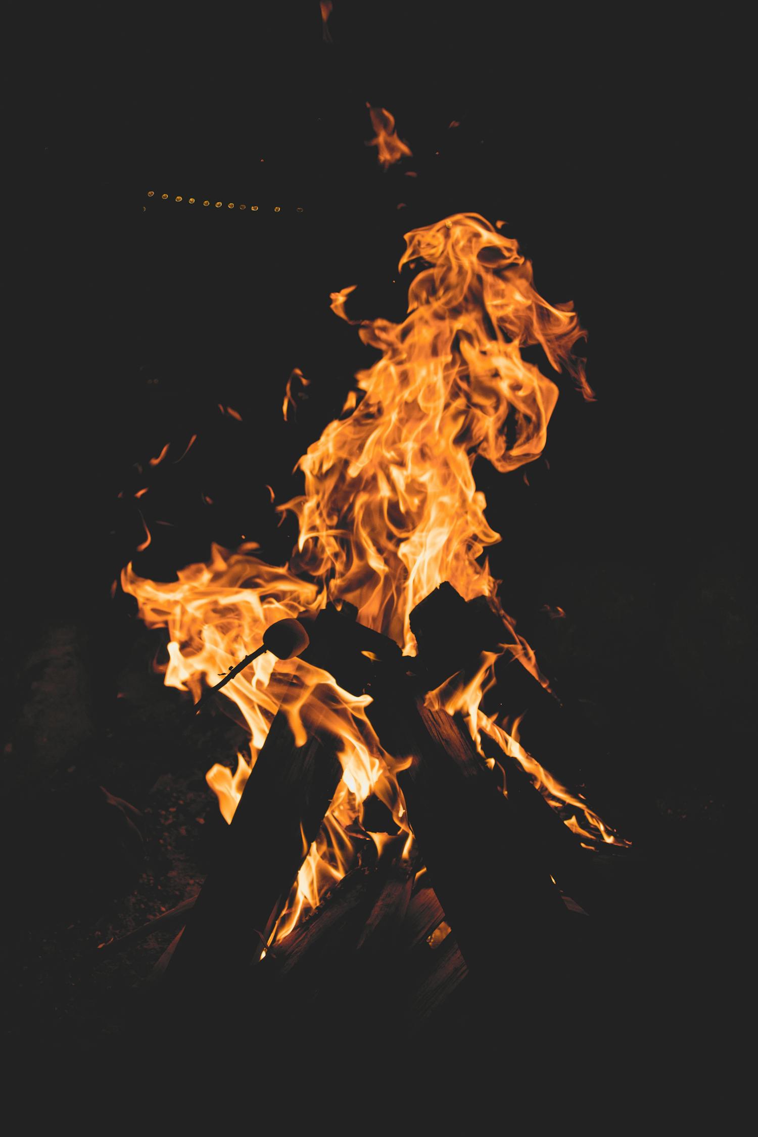 男篮巅峰对决，热血激战之夜直播预告