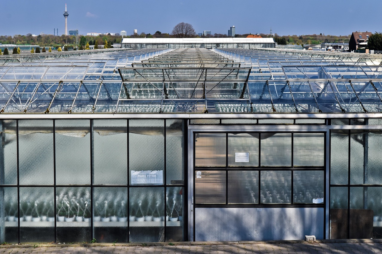 钢筋最新图集揭秘，现代建筑中的钢筋应用与发展趋势探索