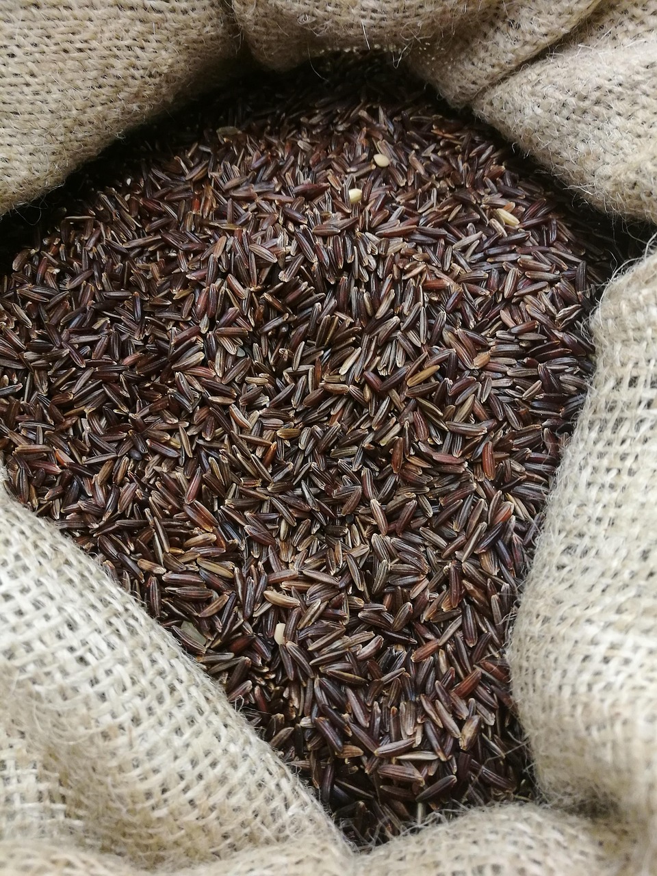 猫妃加入朕的餐盘，文化与美食的奇妙交融最新动态