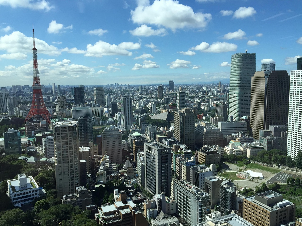 最新梧州冷空气深度解析报告