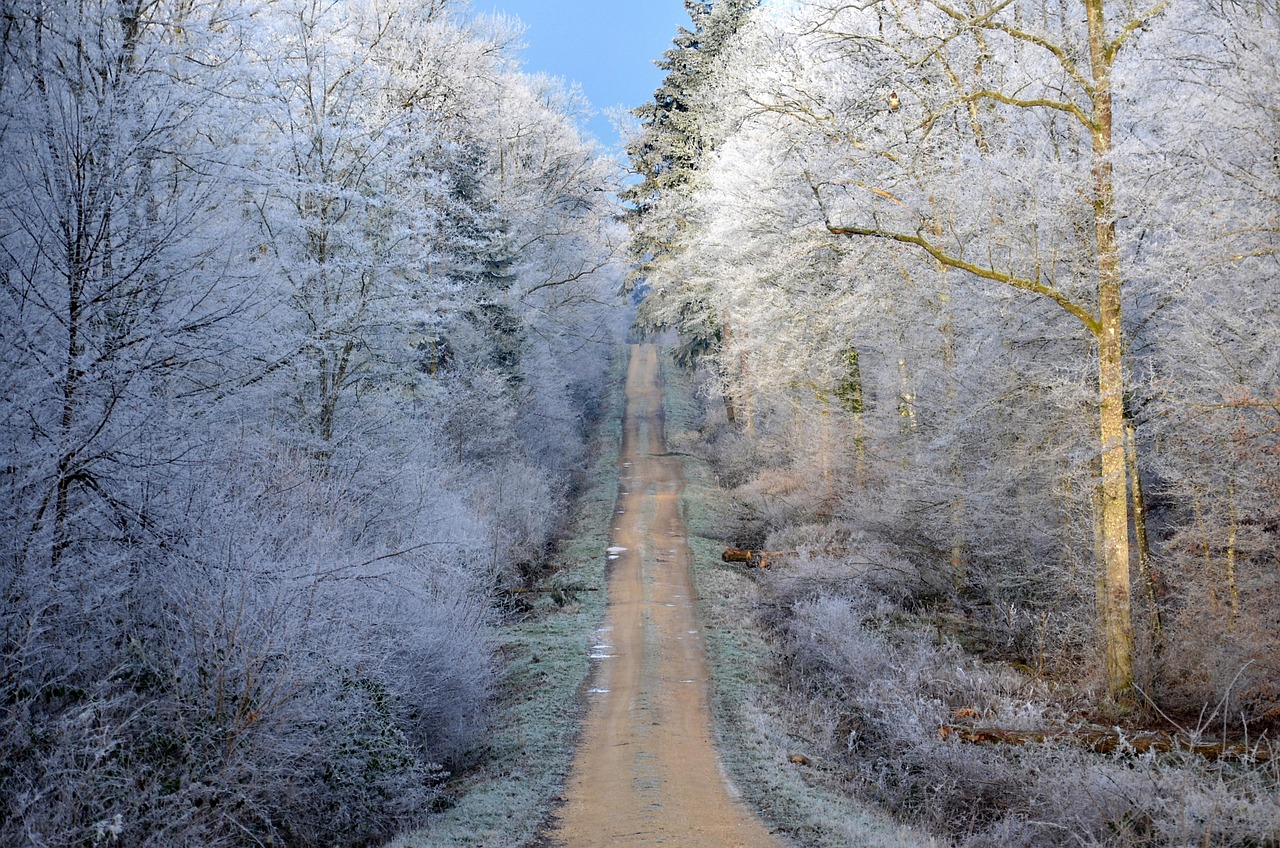 电影冰山上的来客，探索与情感的巅峰之旅
