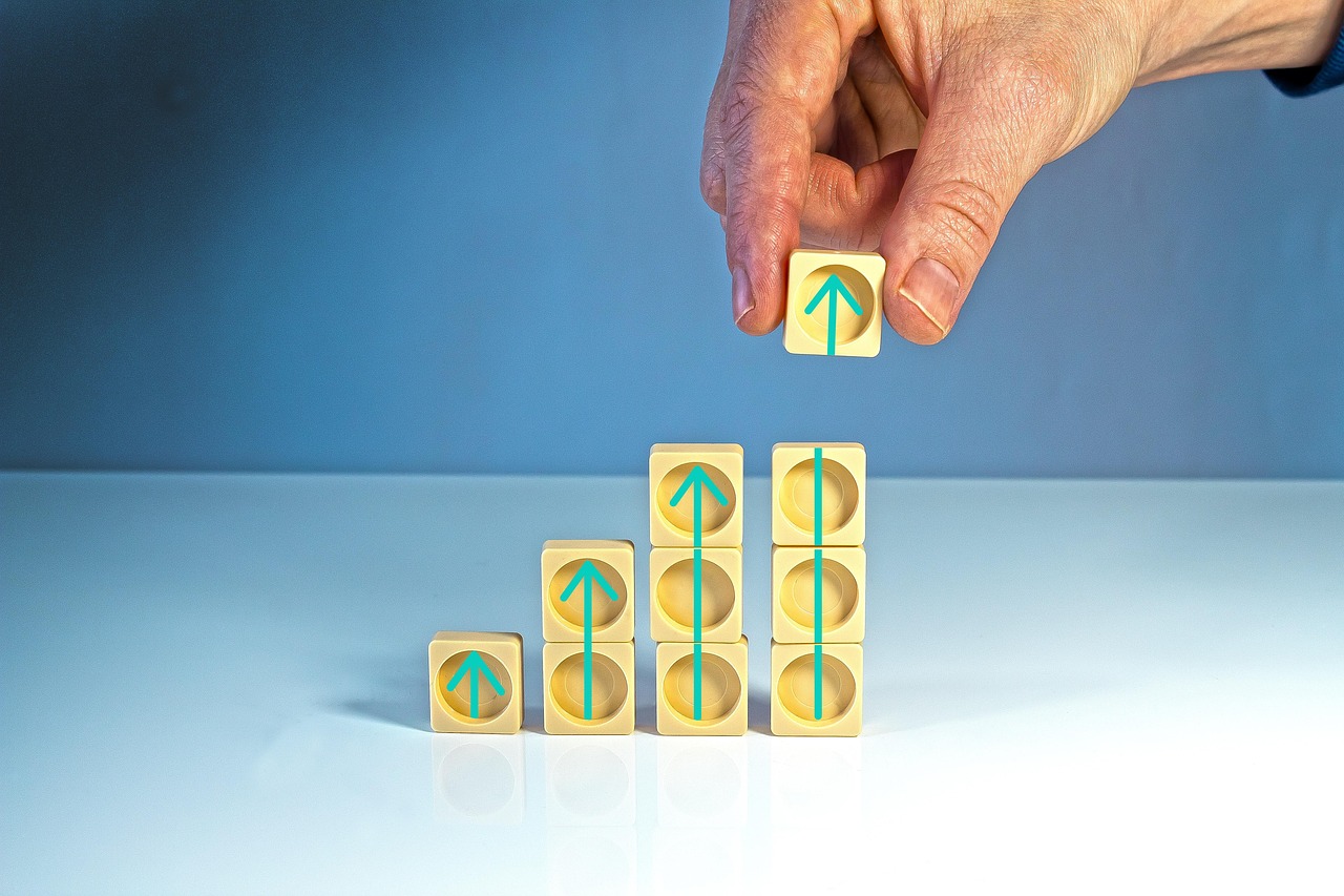 祁阳杨梅湖最新动态,发展与保护的和谐共进