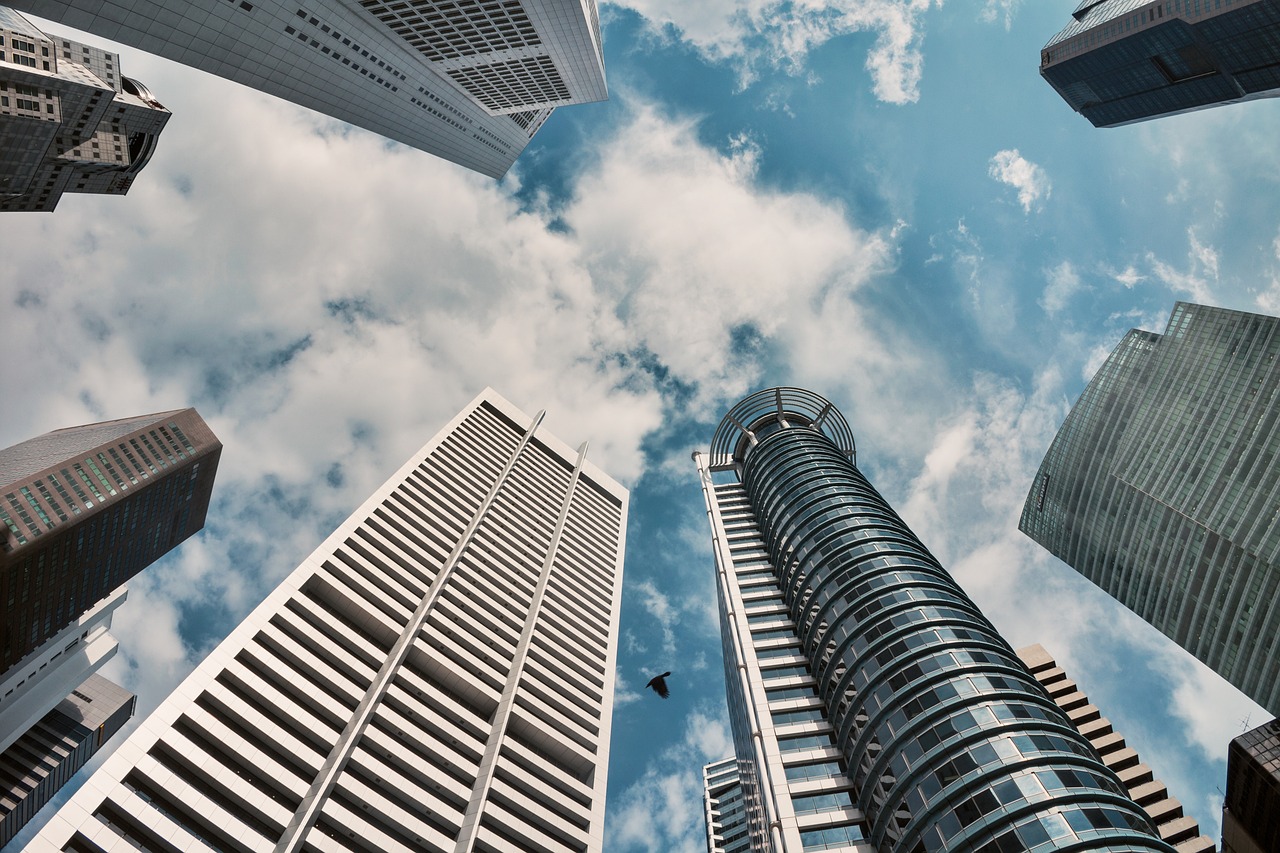 BOPA行情深度解析与展望