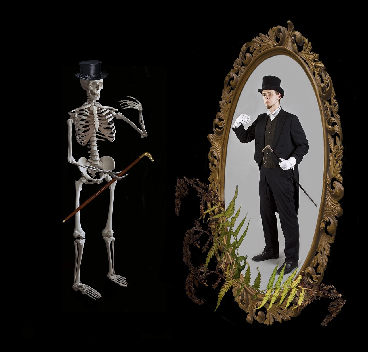 最新漫画集,探索未知世界的神秘魅力