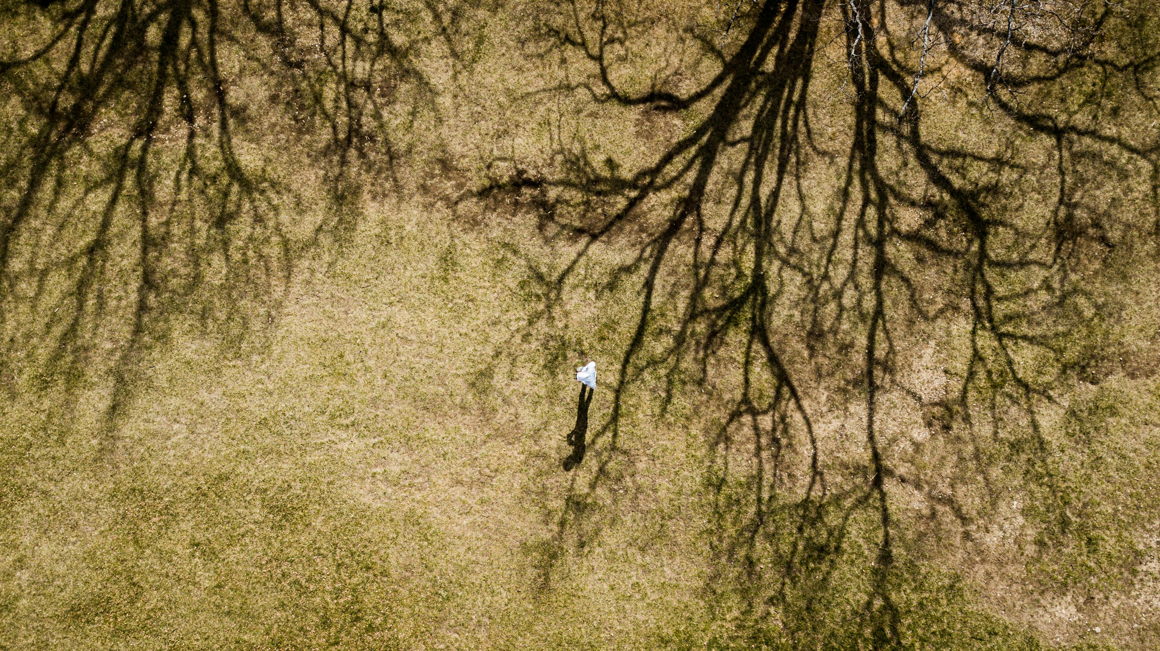 野马网资讯速递,探索新闻前沿,实时掌握资讯动态