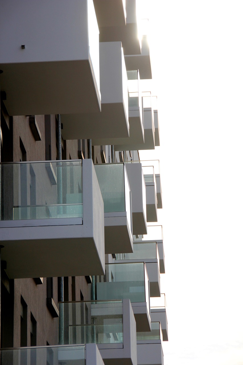 口尊家园最新资讯,探索家园发展新动态,洞悉未来趋势展望