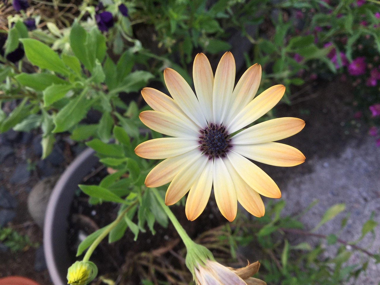 果子狸资讯速递,探索自然世界与前沿科技动态