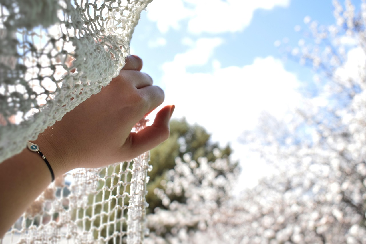 王棋老兵最新动态,热血传奇再现战场,英勇无畏续写辉煌