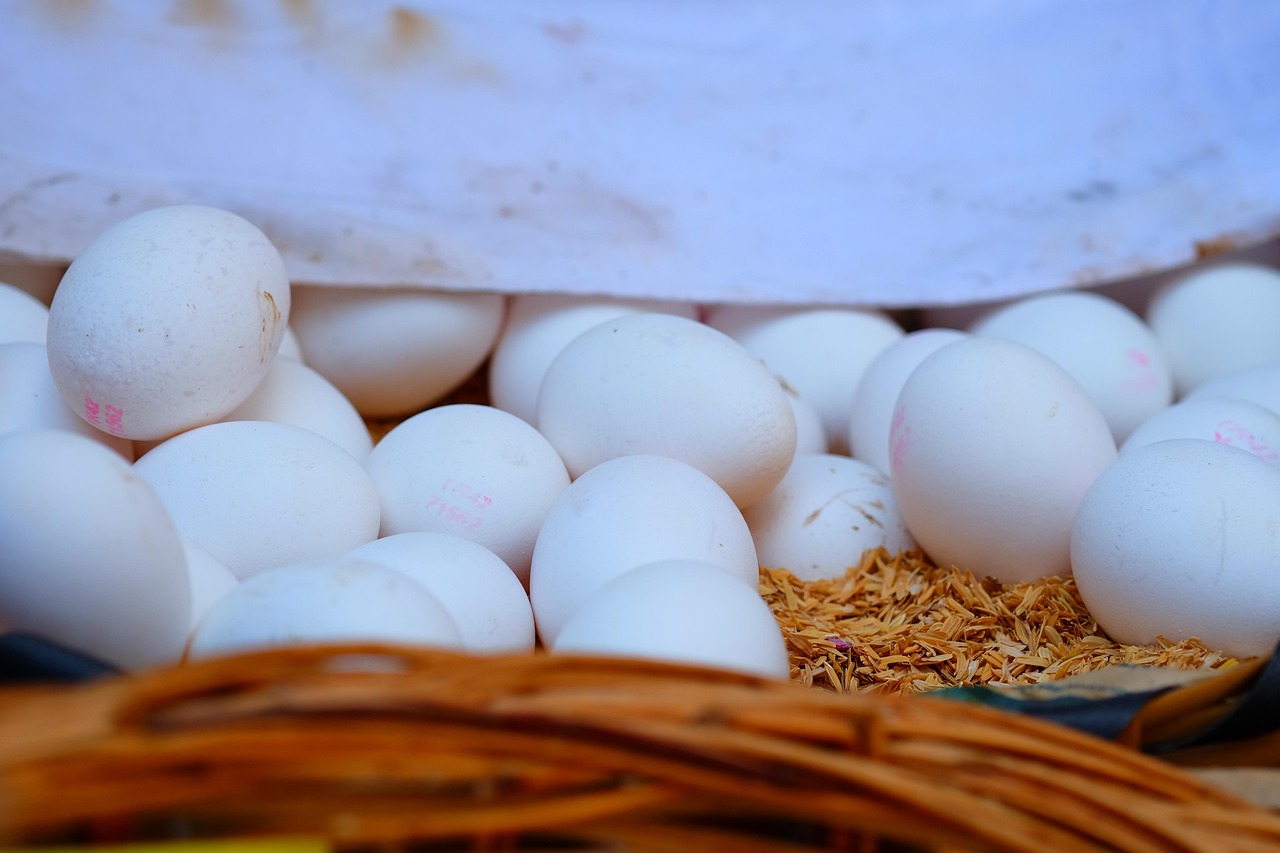 硫铁矿最新价格动态分析与趋势预测