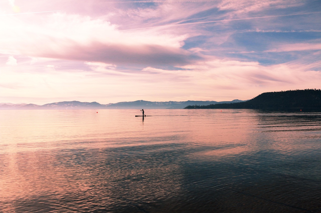 电影这里的黎明静悄悄,静谧中的深沉诗意与情感表达