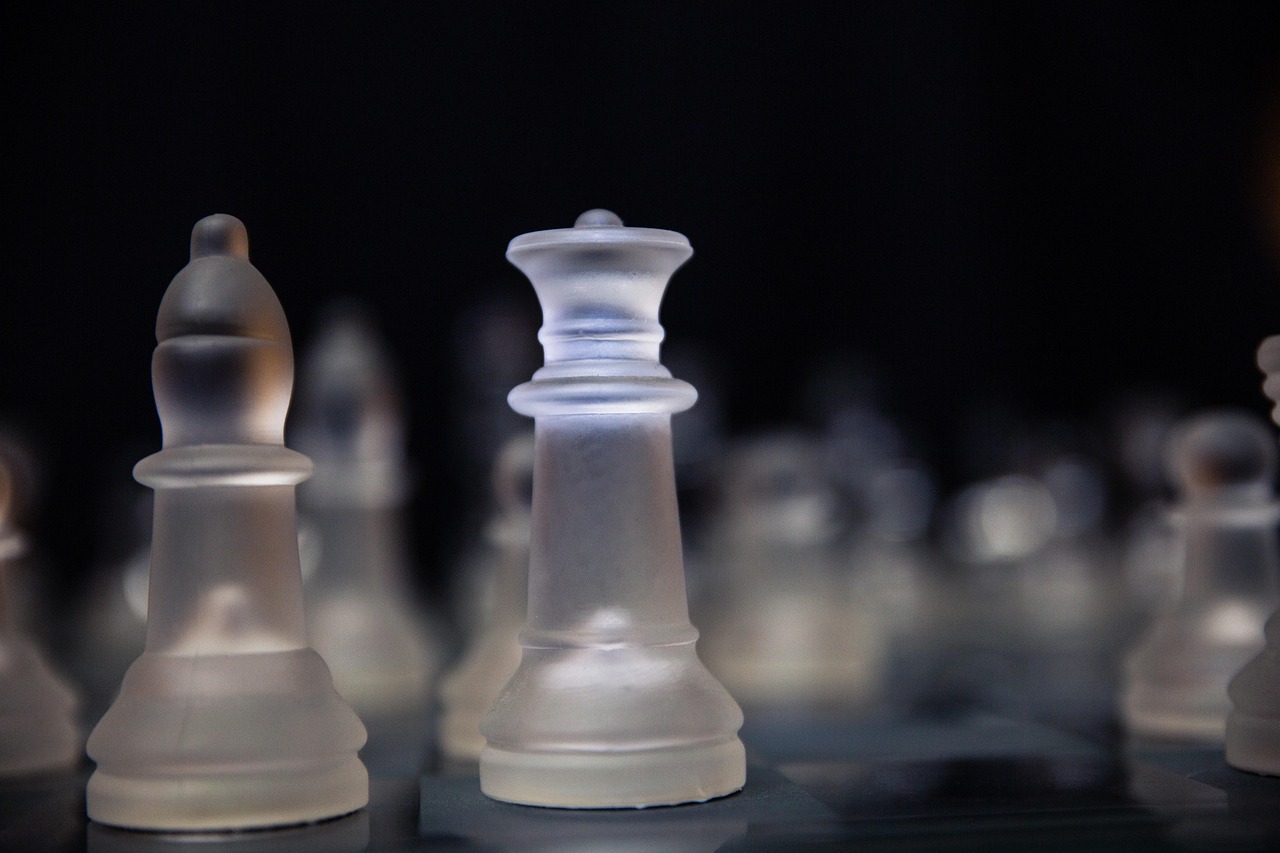 老白干酒价格走势分析,市场趋势与影响因素探讨