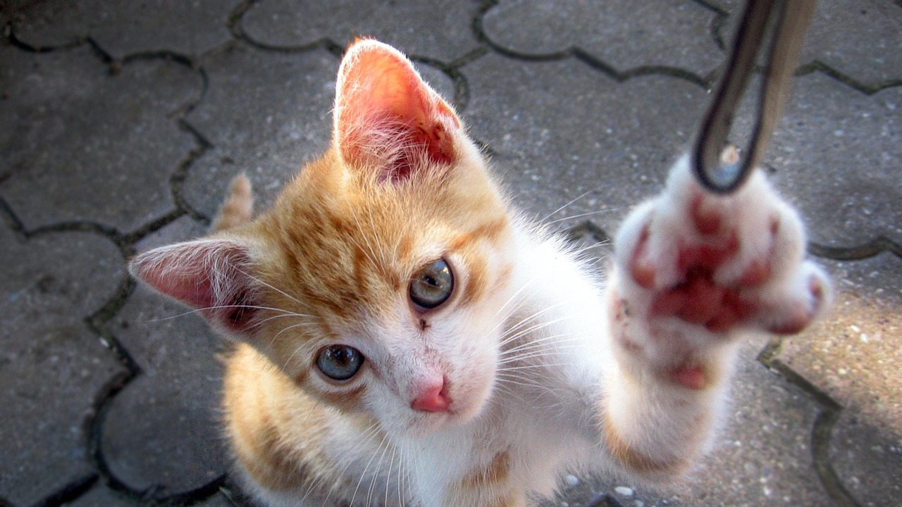 养老金改革迈向公平可持续的未来,最新动态与消息解析