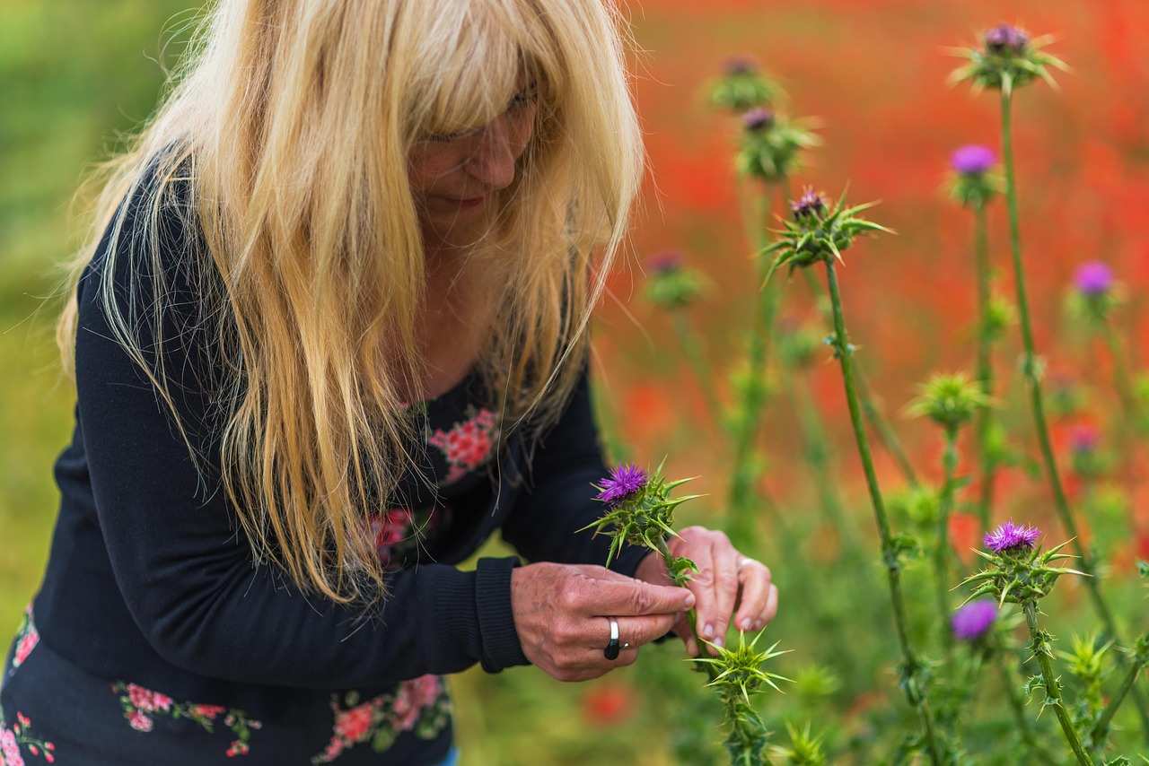 二次元动漫少女绘画教程,步入二次元世界的步骤指南
