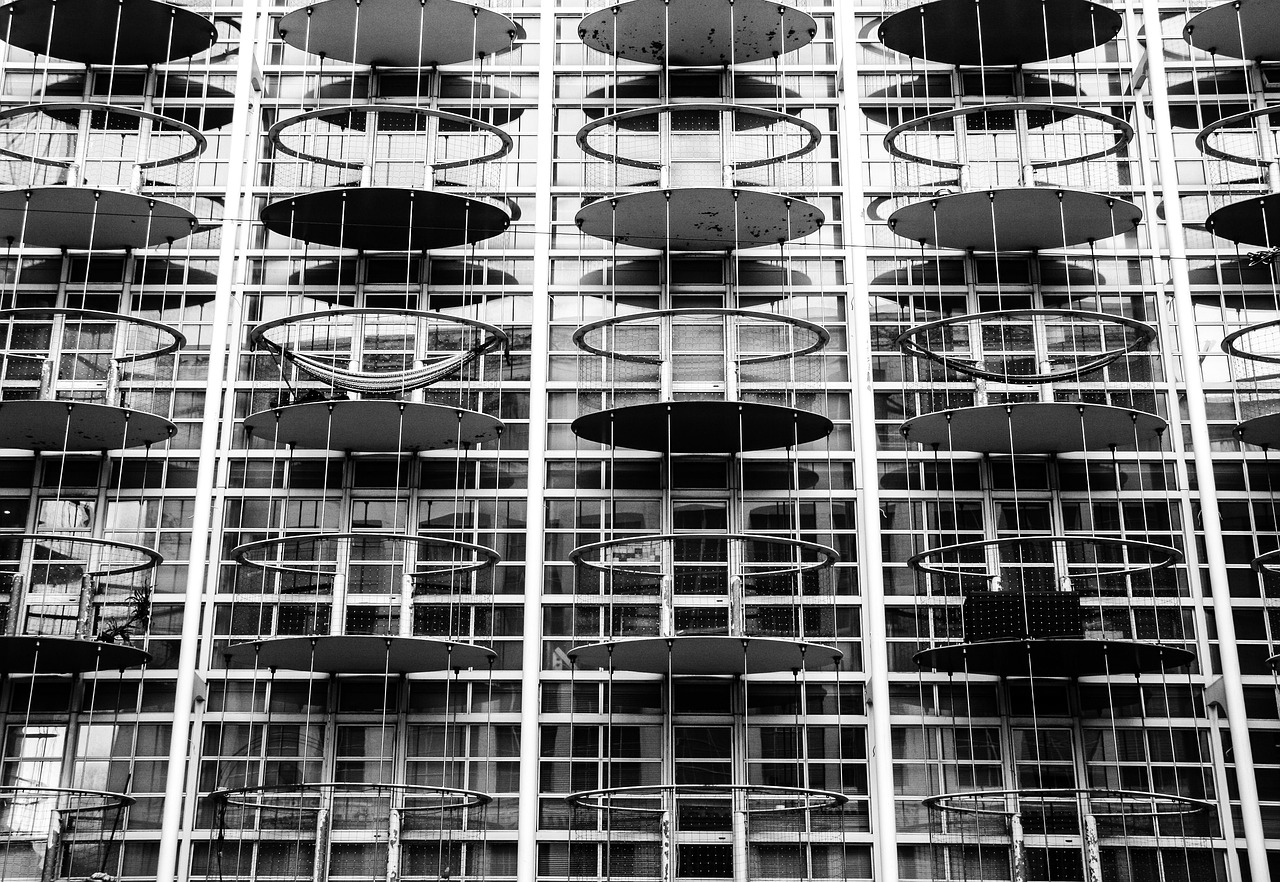 羊行情深度解析,市场趋势、影响因素与未来发展展望