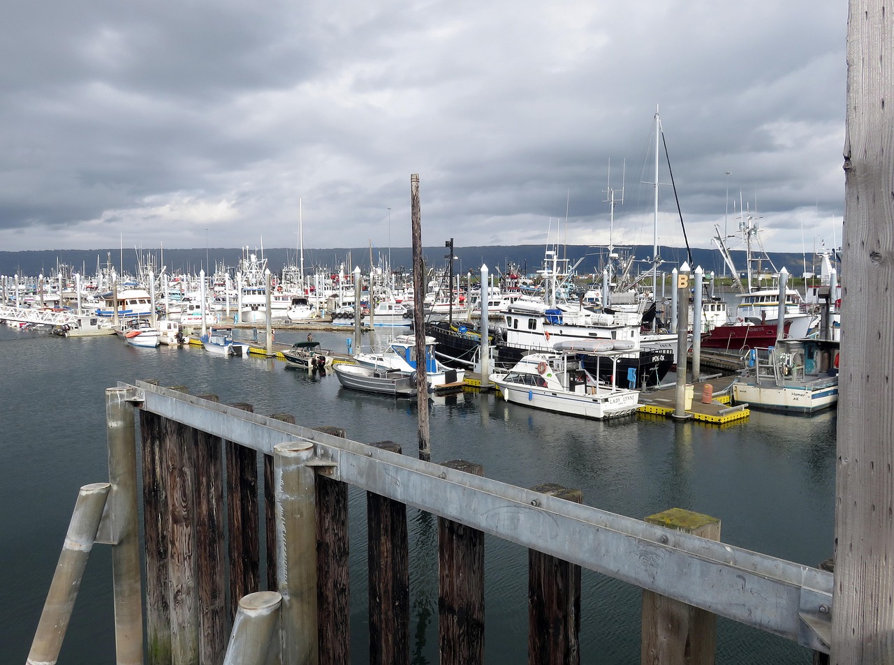 天津港途锐最新车价动态解析及购车指南