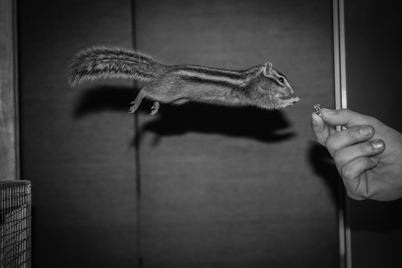 四维图新最新动态深度解析