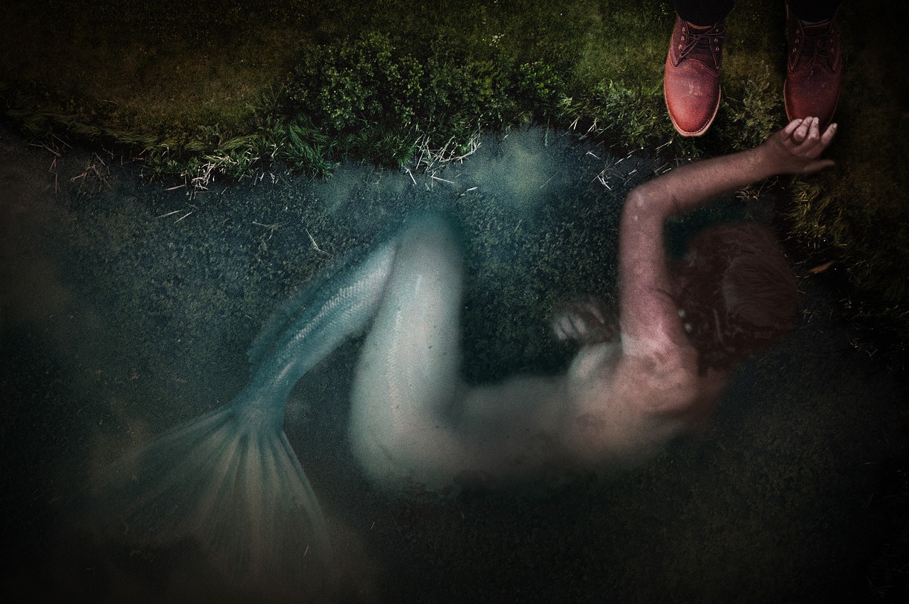 探索AV明星脸的美丽背后的故事