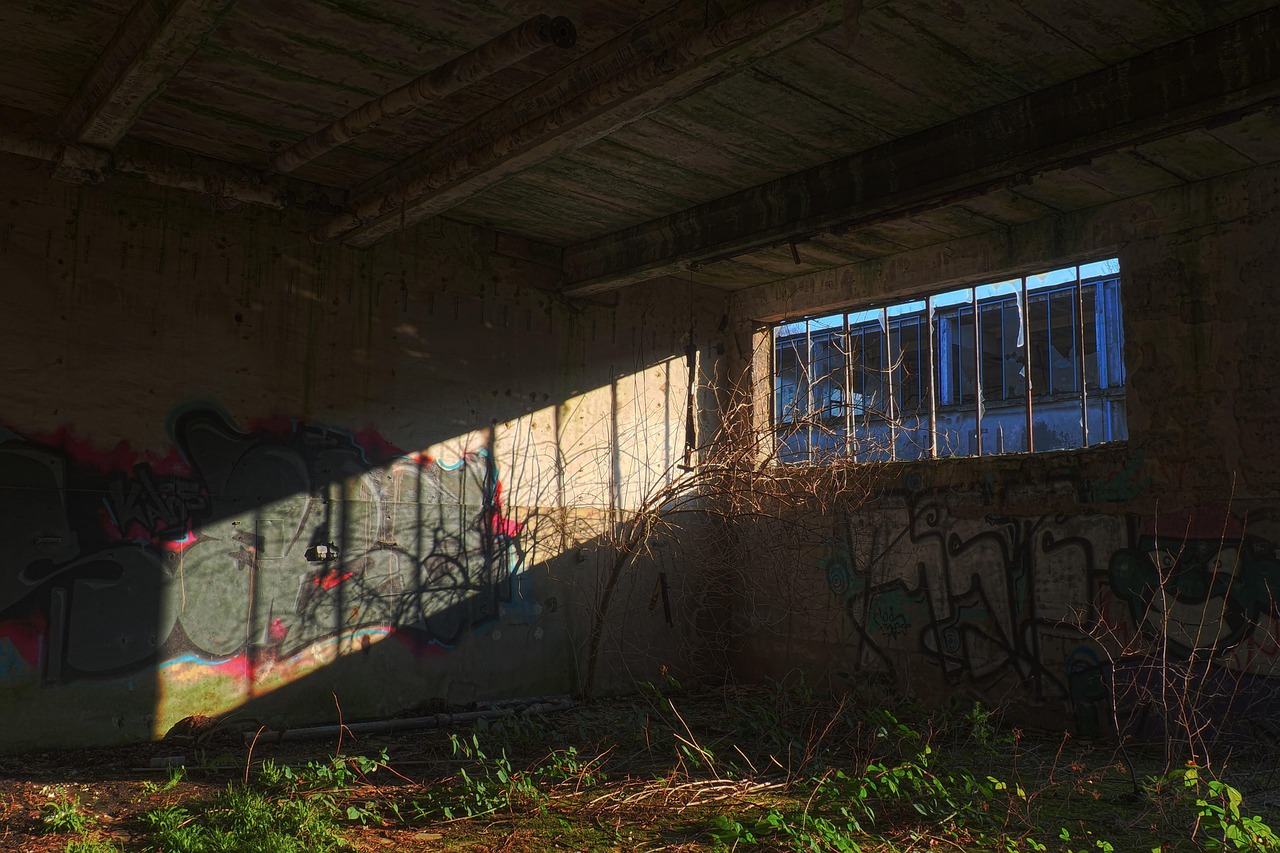 最新悬疑迷失,探寻消失的真相之谜