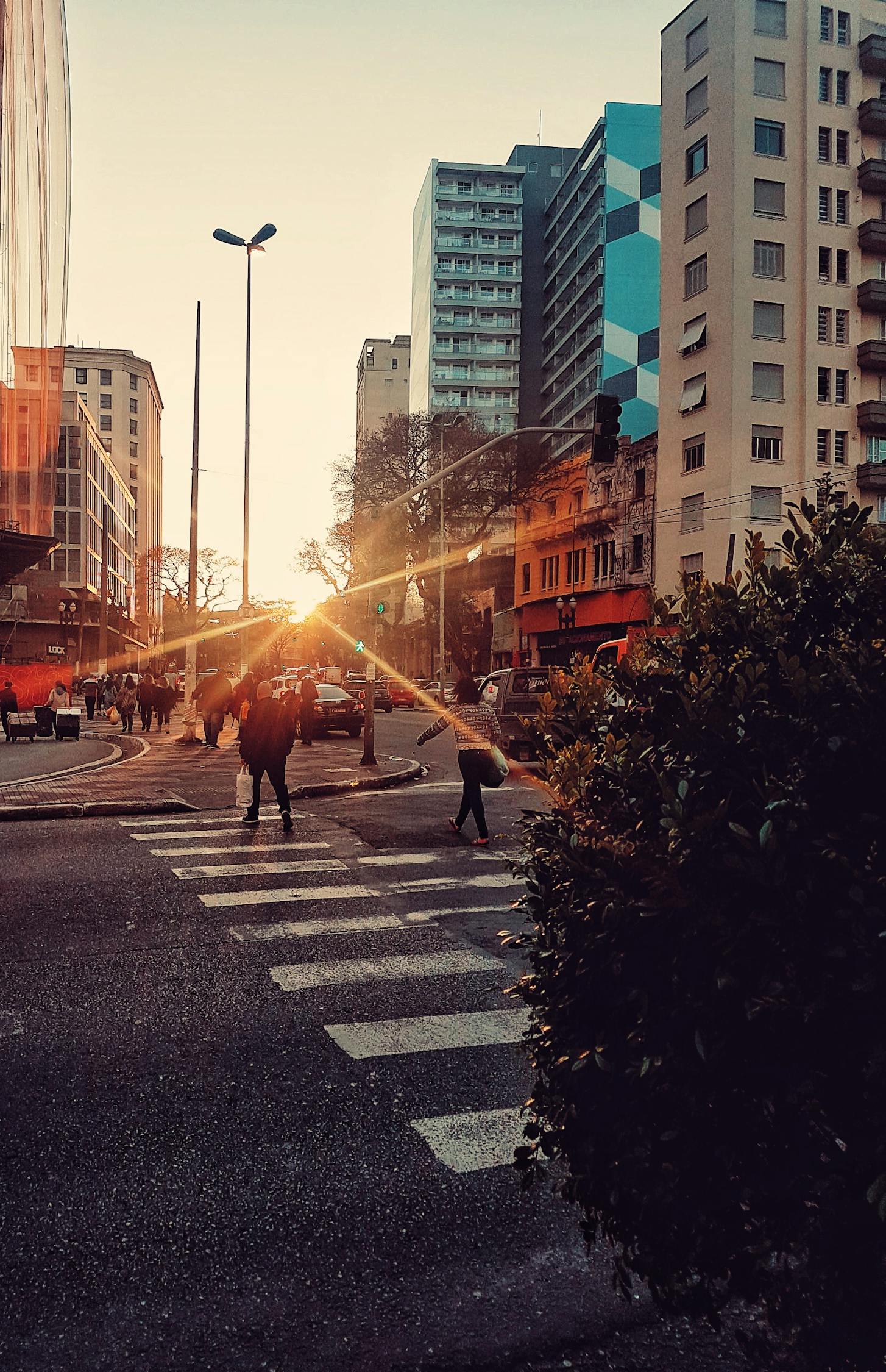 合浦文昌新城蓬勃发展,最新动态揭示城市新面貌