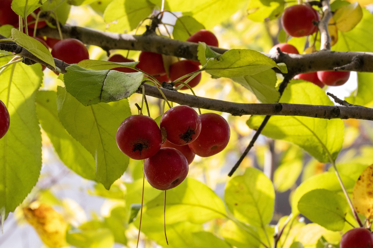 俄罗斯最新疫情动态深度解析