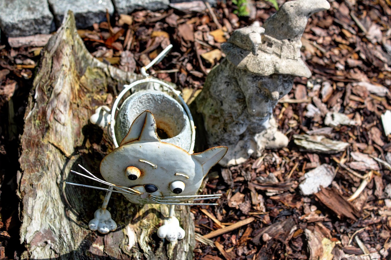 新乡兰亭花园最新动态更新与持续追踪报道