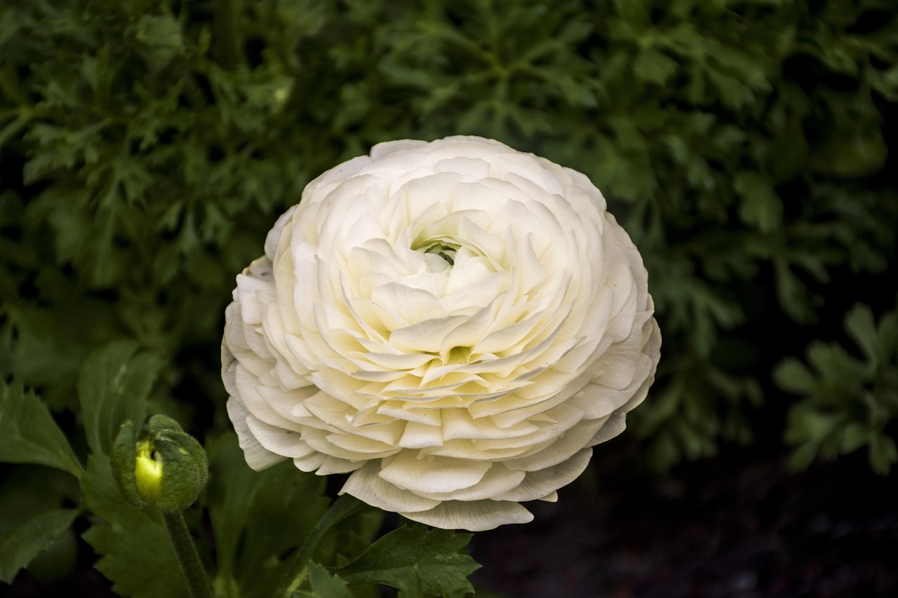 新乡兰亭花园最新动态更新与持续追踪报道