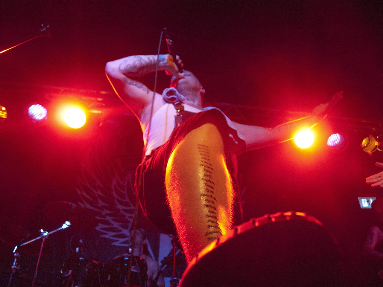 宋丽娜演员,演艺之路的璀璨之旅与魅力展现