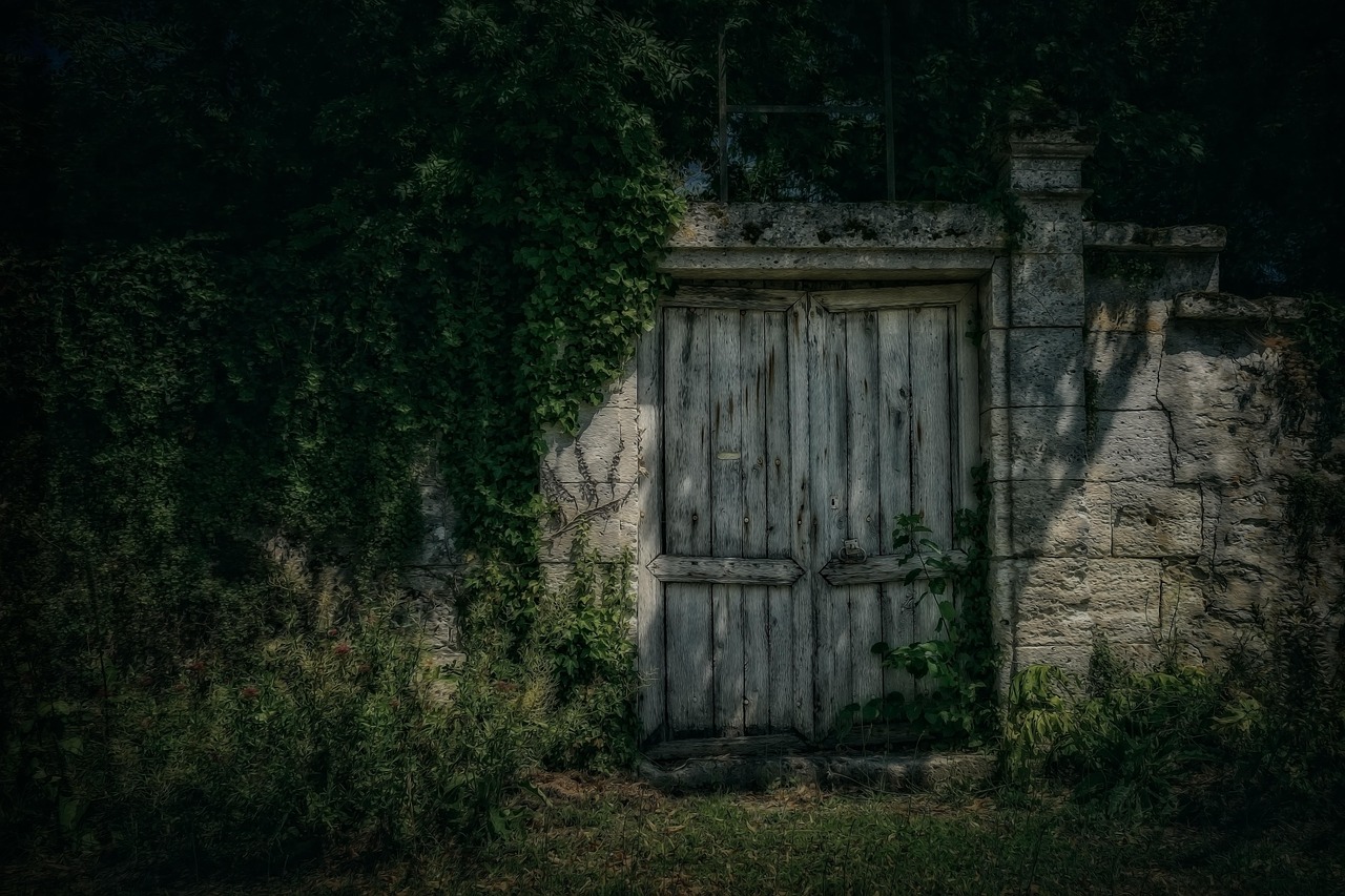 老电影画皮深度解读,经典之中的故事韵味