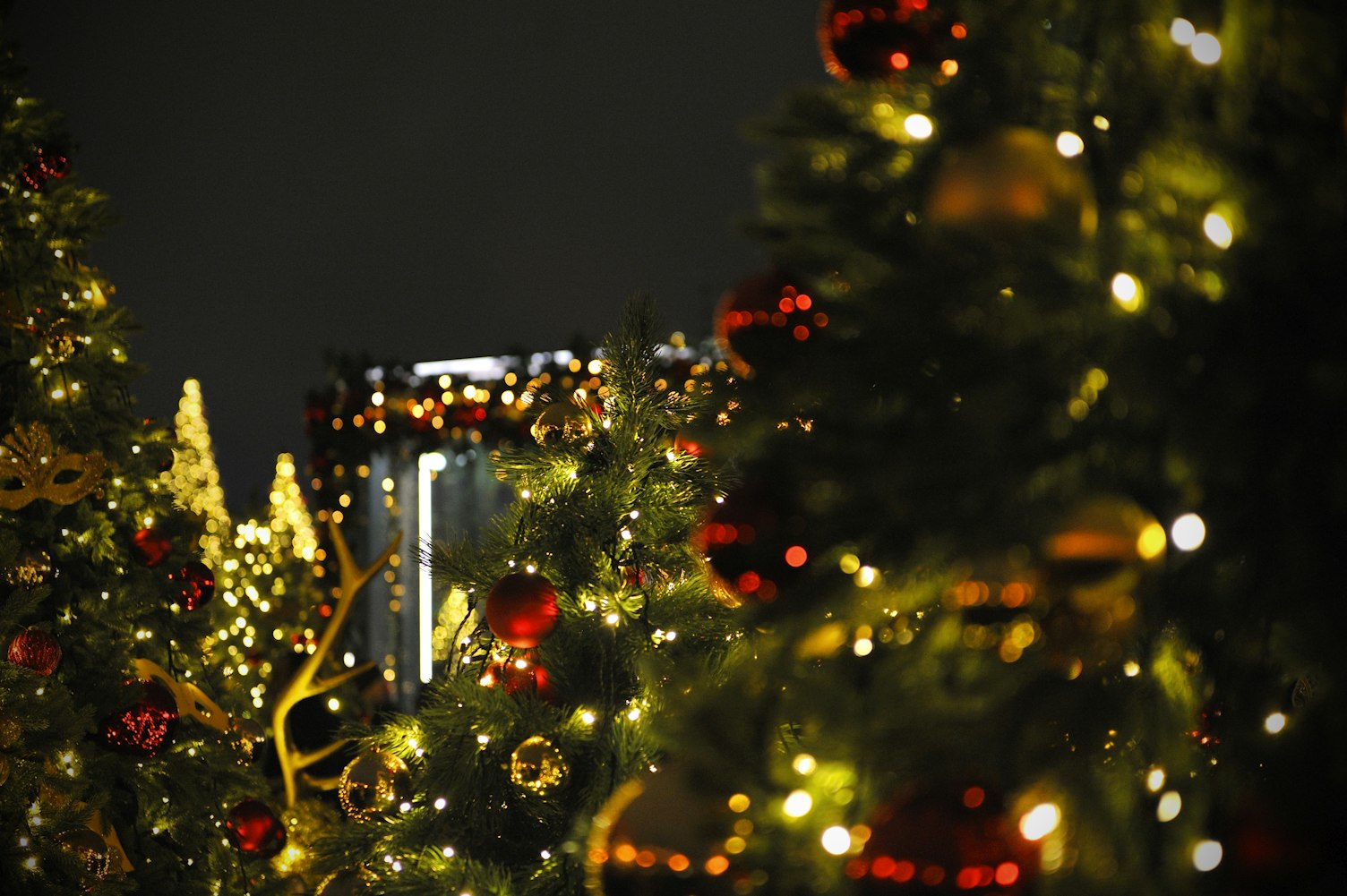 探索萌动漫头像的魅力世界,超萌头像一览