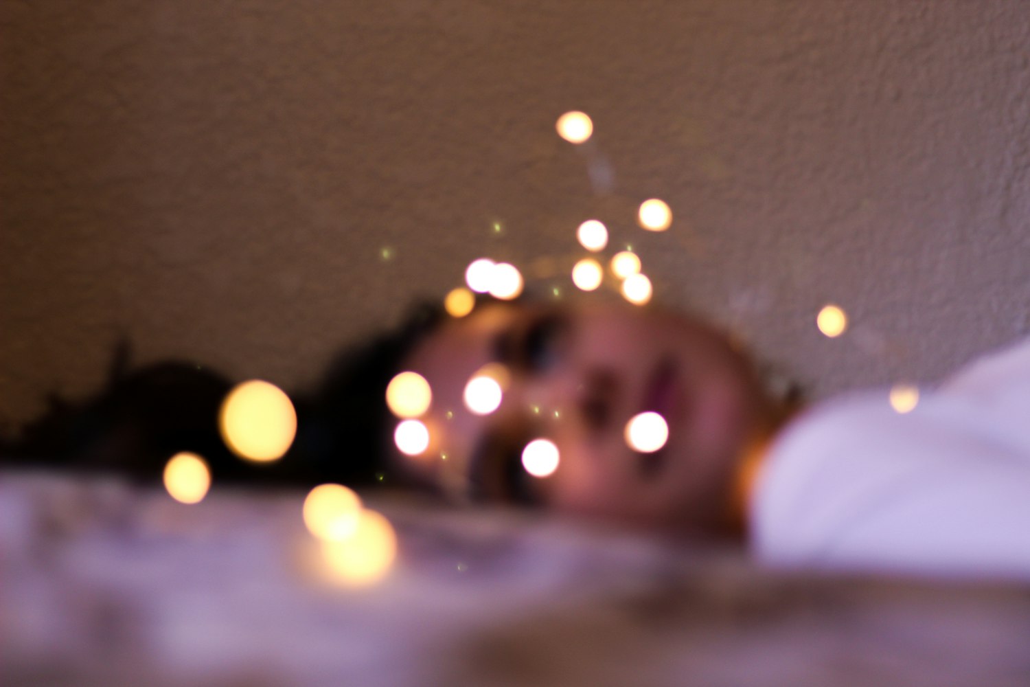 科技引领下的宠物护理革新,家护小猪最新动态揭秘