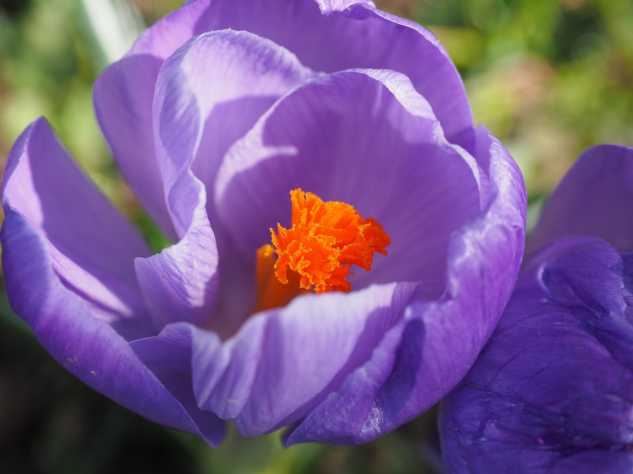 任重最新动态,迈向新高峰的进展