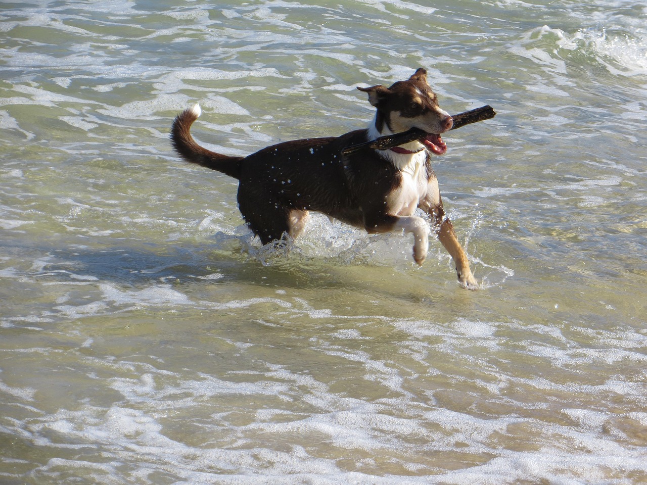 镇宁新闻最新动态,县域发展新篇章开启