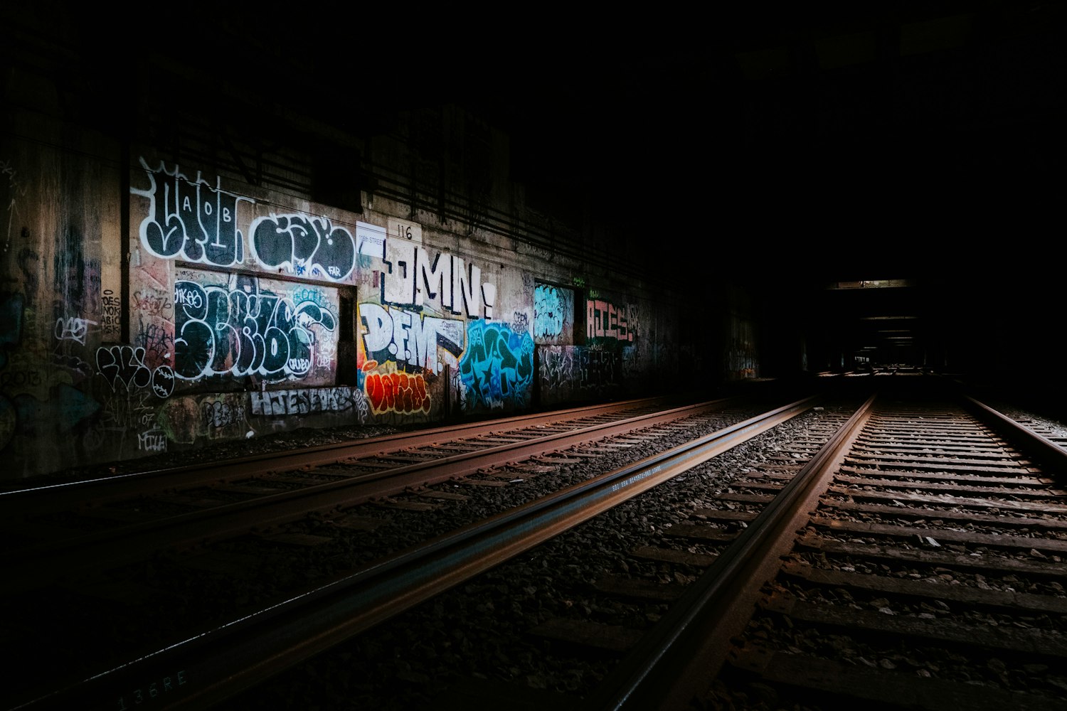 佘男,演艺之路的璀璨之星闪耀之旅