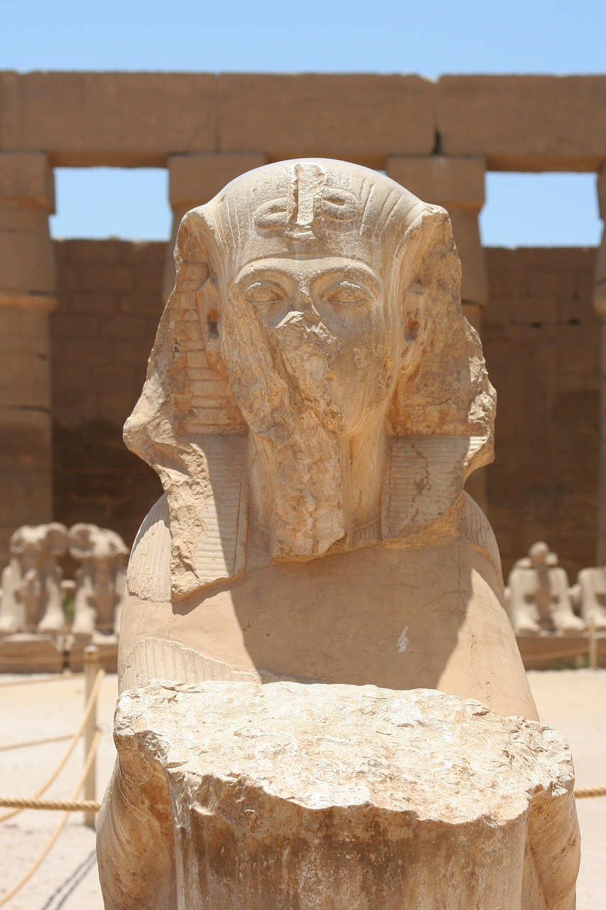 埃及最新动态,揭示古老文明的新篇章进展