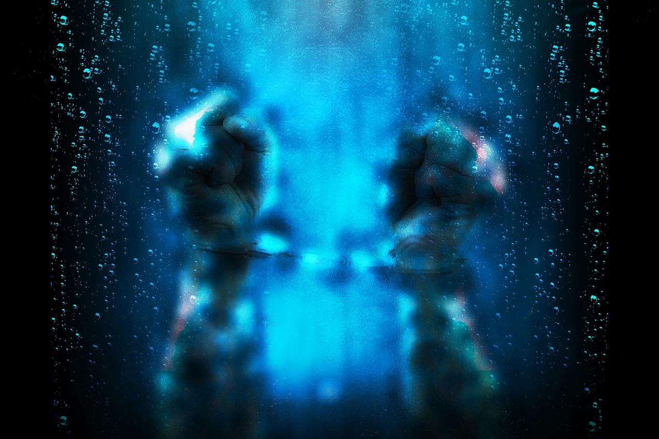 昭通监狱改革动态,管理与发展前沿观察的最新进展