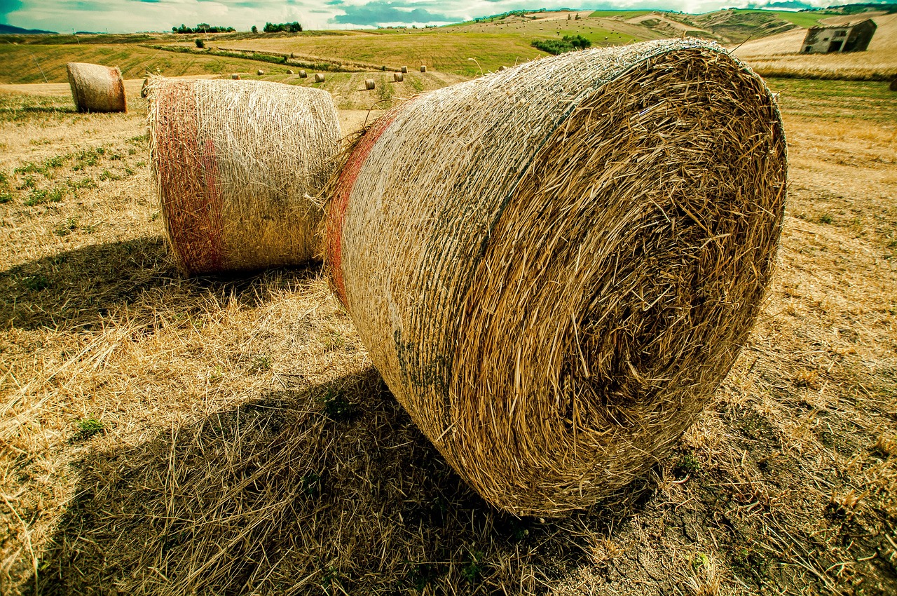 华普超市最新动态,引领零售变革,重塑购物体验