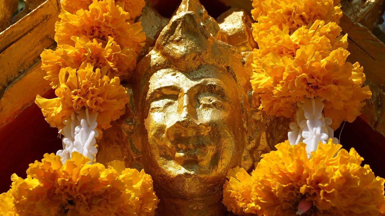 刘可老最新动态揭秘,音乐与艺术的融合之旅探索