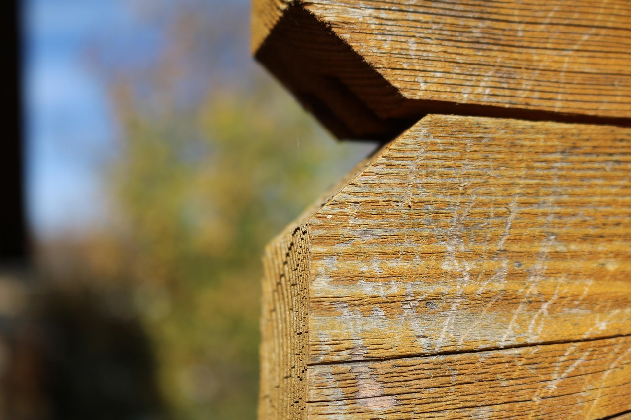 九沟寨地震最新动态,持续监测与应对策略的最新进展