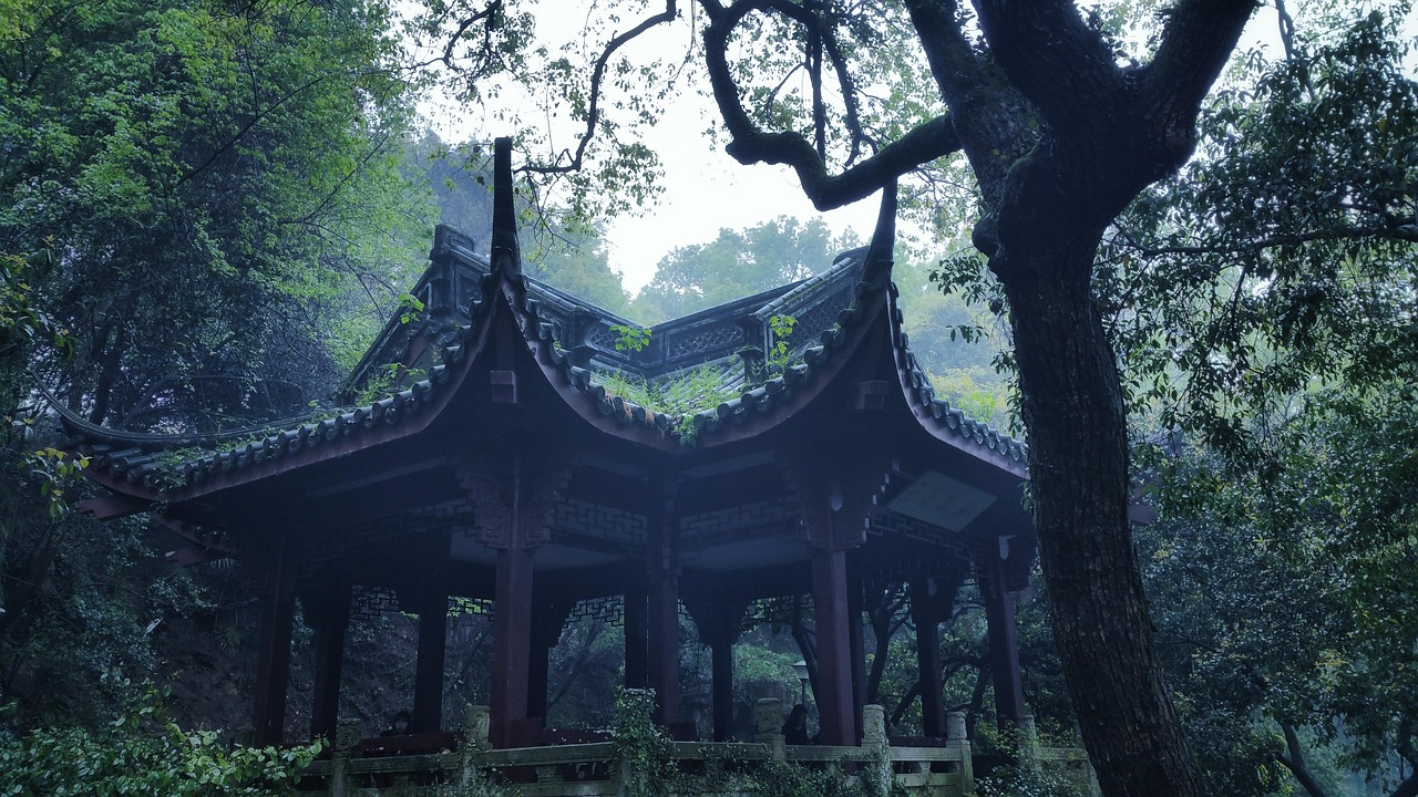 古诗词朗诵比赛,传承文化之美,展现诗词魅力