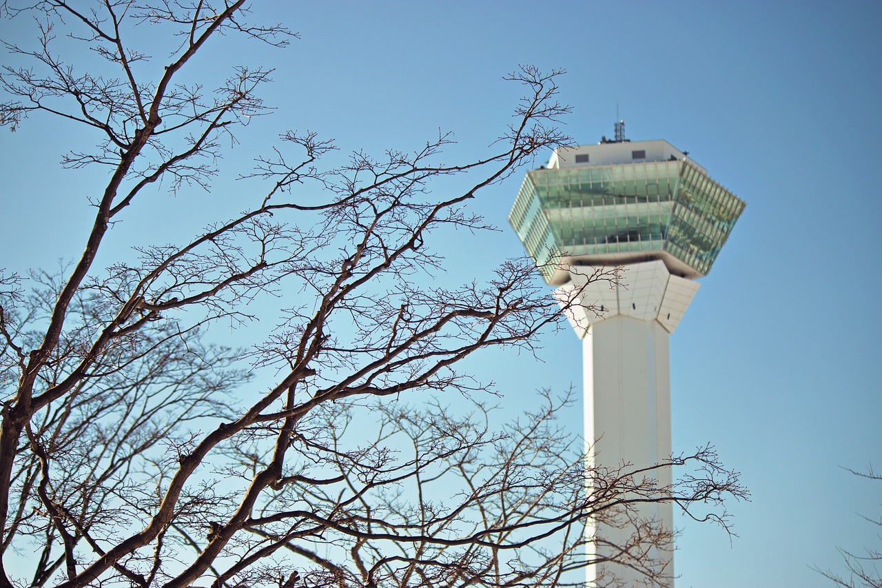 欢乐与忧伤 第3页