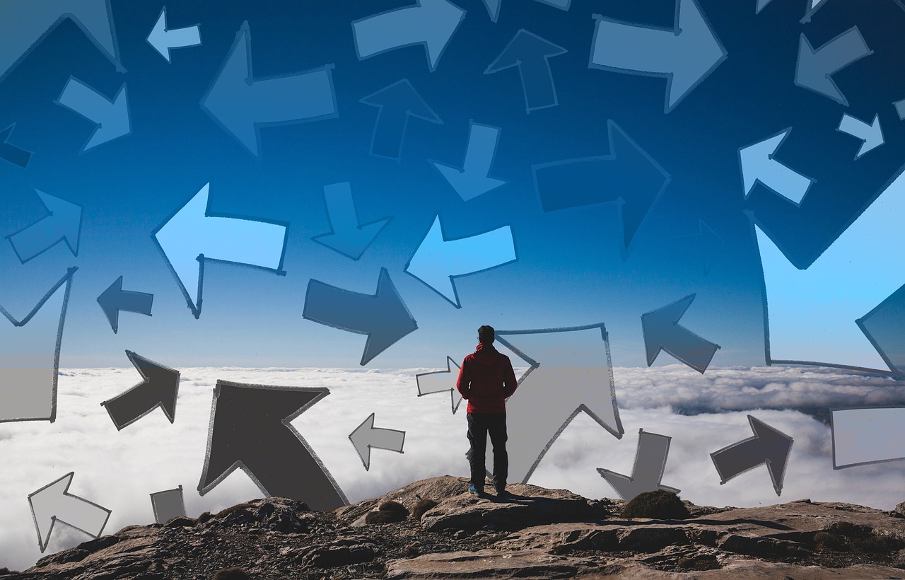 蝉花行情深度解析,市场趋势与未来发展展望