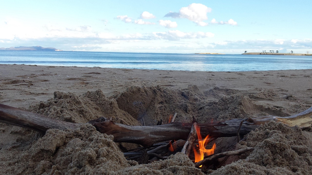 最新91资源探索与发现之旅