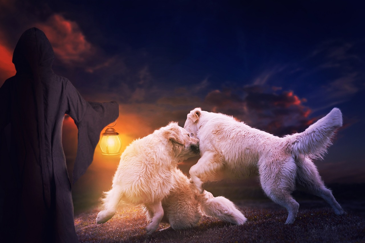 中国铁物改革的最新动态与前瞻探索