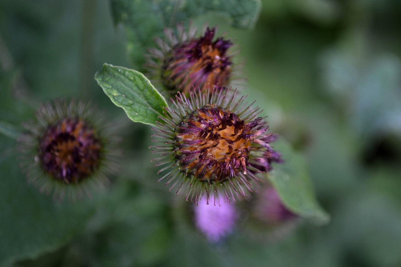 宝坻区全运会最新动态速递